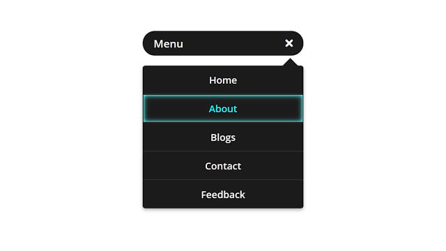 Minimal Navigation Menu Bar using HTML CSS & JavaScript